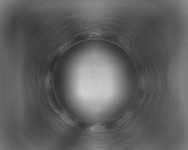 X0000054370468200508121545