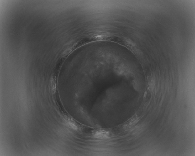 X0000054370471200508121545