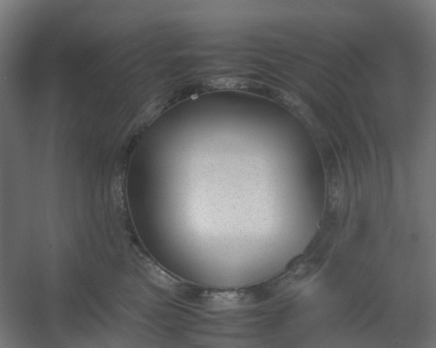 X0000054370473200508121545