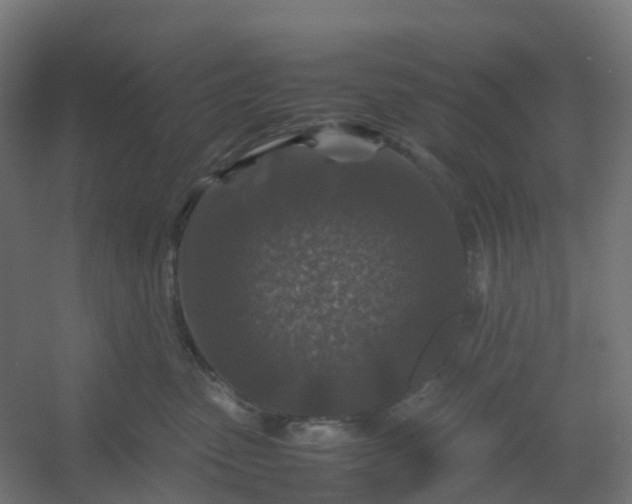 X0000054370475200508121545