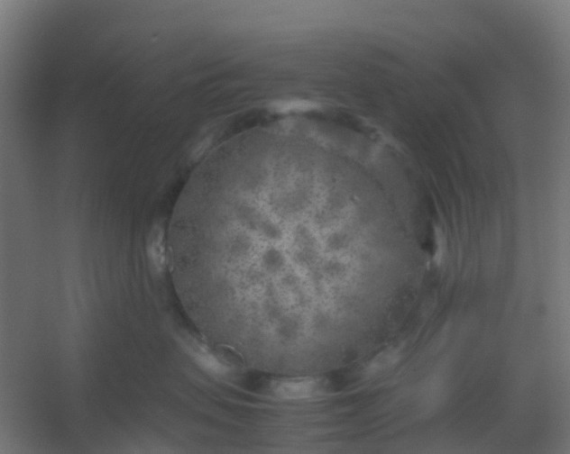 X0000054370479200508121545