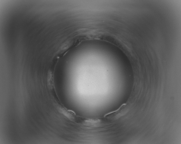 X0000054370480200508121545