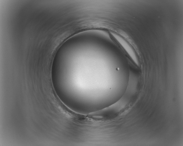 X0000054370481200508121544