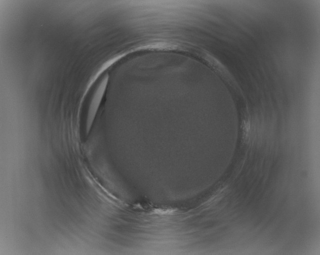 X0000054370484200508121544