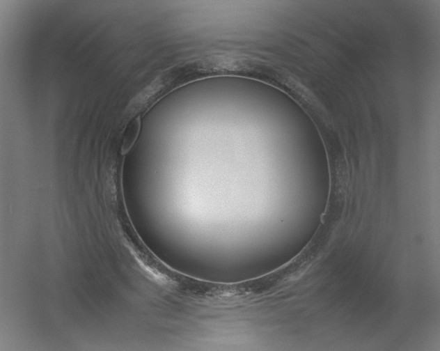 X0000054370489200508121544