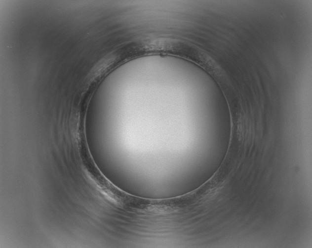 X0000054370490200508121544