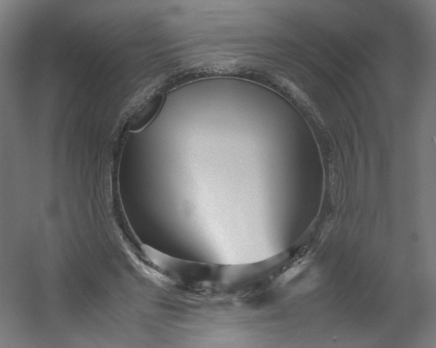 X0000054370493200508121544