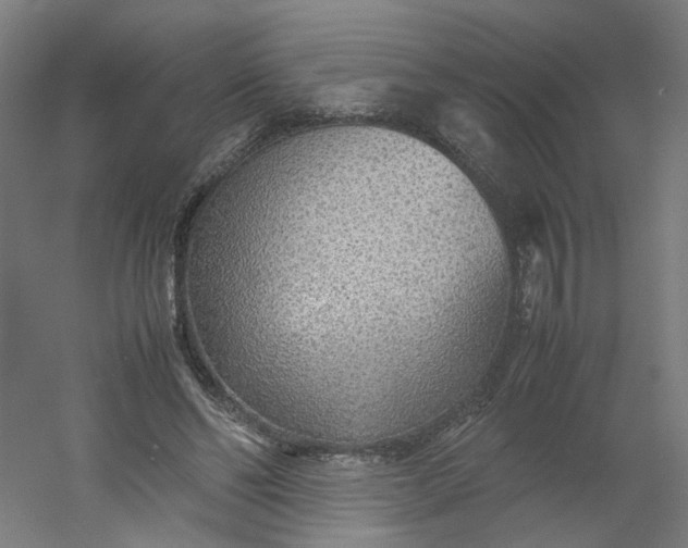 X0000054370494200508121544