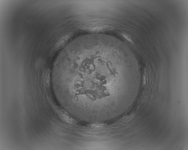 X0000054370495200508121544