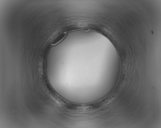 X0000054370497200508121544