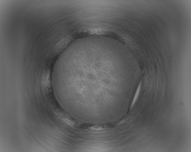 X0000054370502200508121544