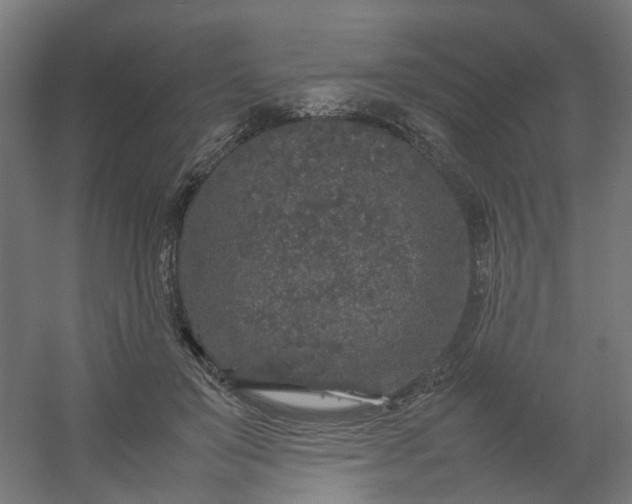 X0000054370503200508121544