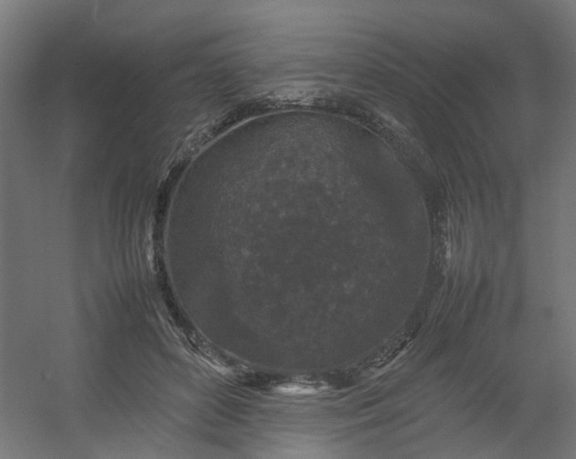 X0000054370504200508121544