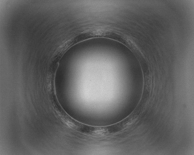 X0000054370505200508121544