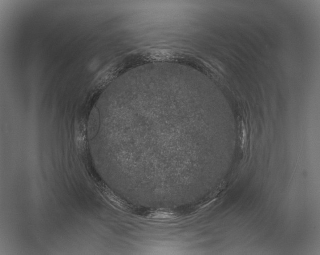 X0000054370507200508121544