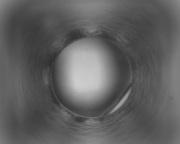 X0000054370515200508121544