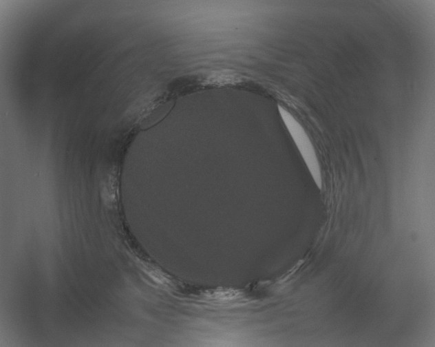 X0000054370517200508121544