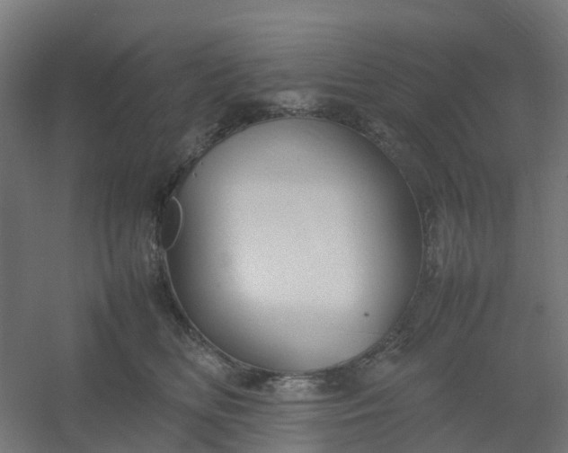 X0000054370518200508121543