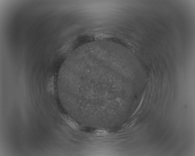 X0000054370519200508121543