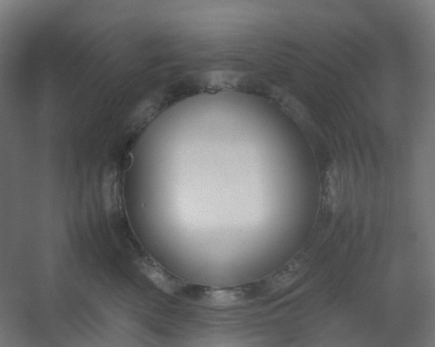 X0000054370522200508121543