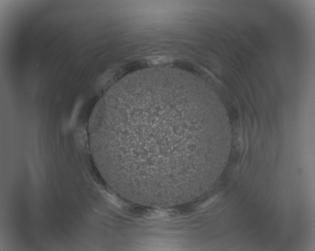 X0000054370523200508121543