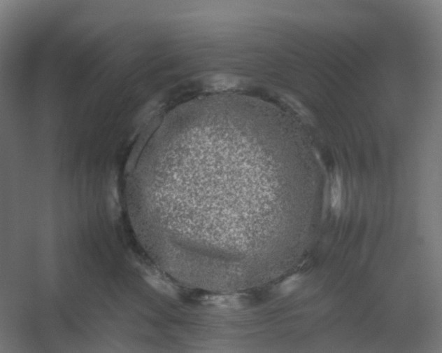 X0000054370524200508121543