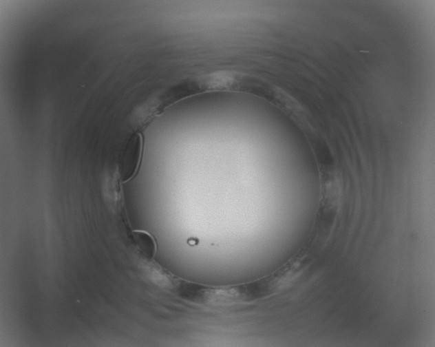 X0000054370525200508121543