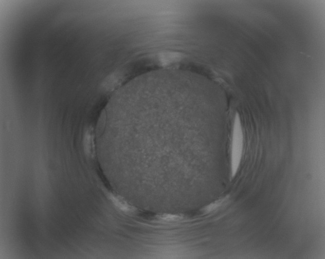 X0000054370527200508121543