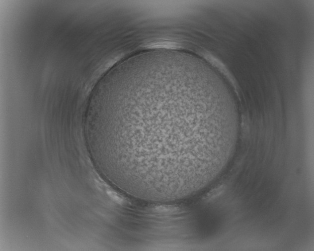 X0000054370529200508121542