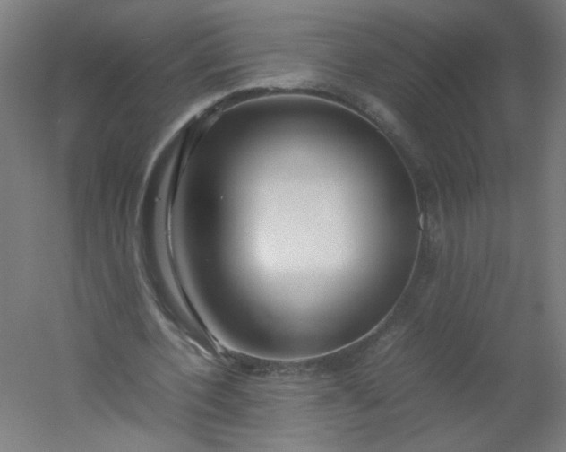 X0000054370532200508121543