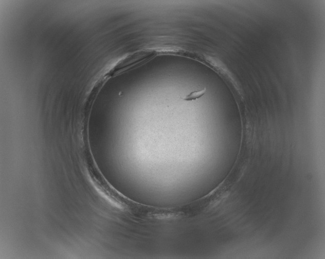 X0000054370533200508121543