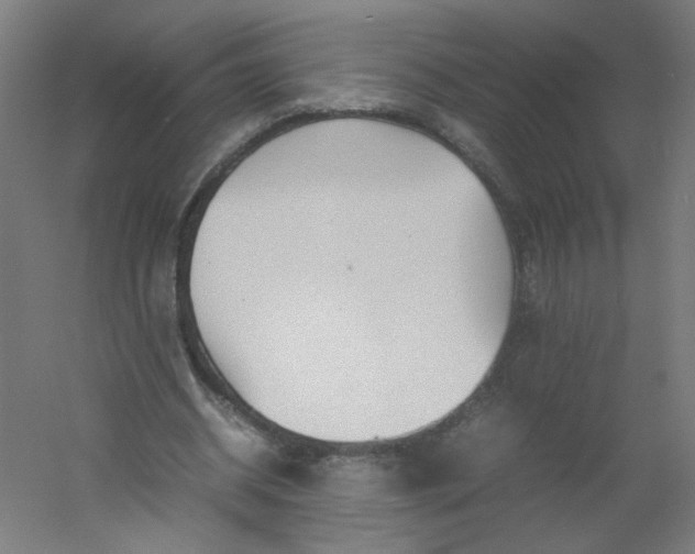 X0000054370534200508121543