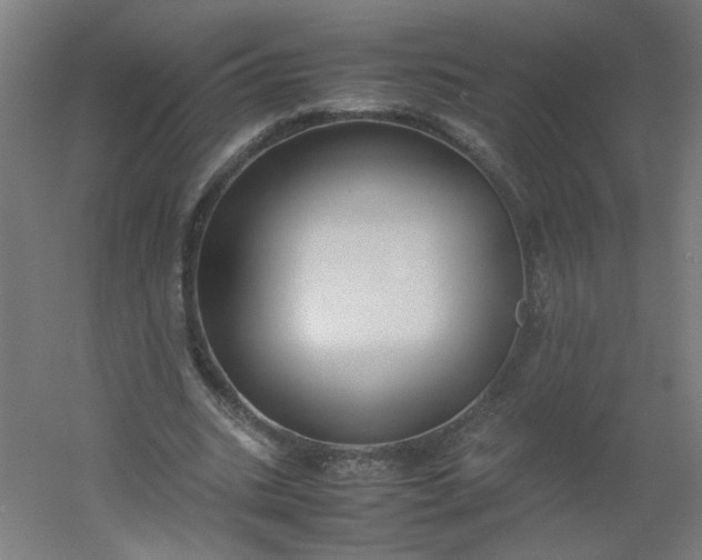 X0000054370535200508121543