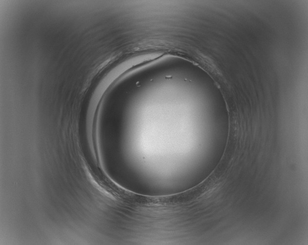 X0000054370538200508121543