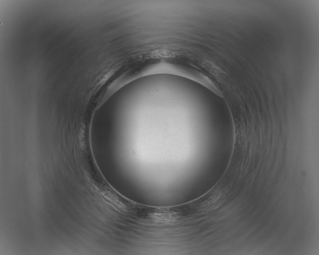 X0000054370556200508121543