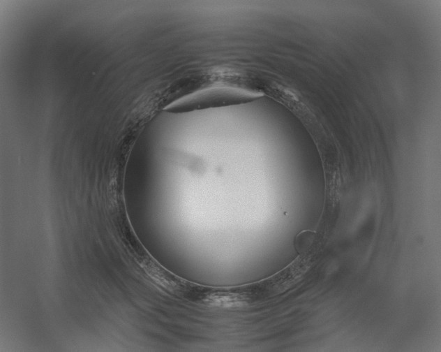 X0000054370557200508121543