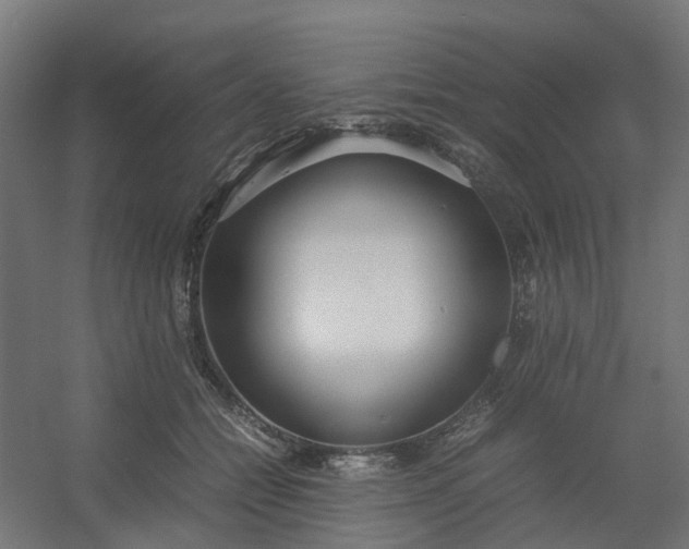 X0000054370558200508121543