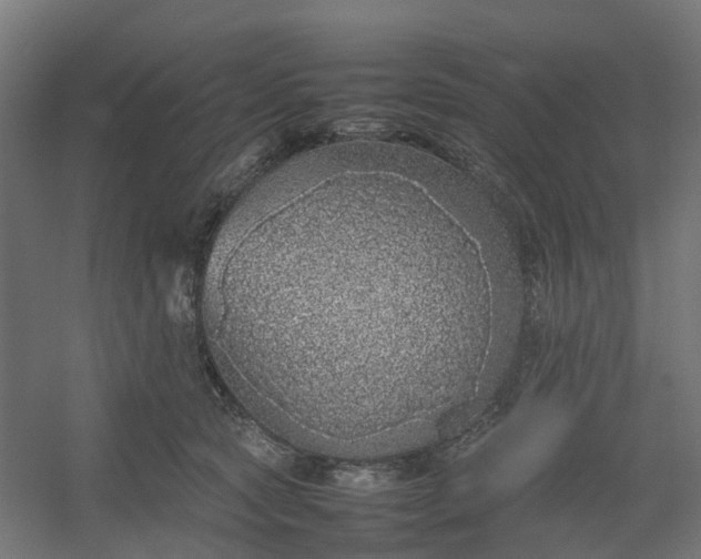 X0000054370561200508121543