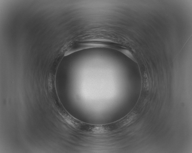 X0000054370562200508121543