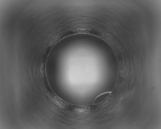 X0000054370563200508121543