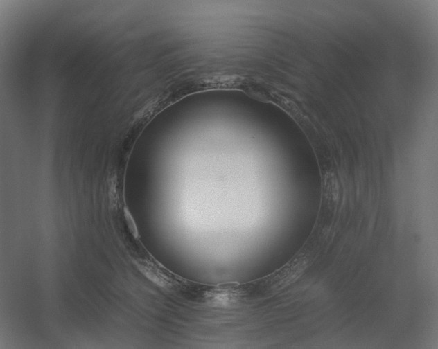 X0000054370564200508121543