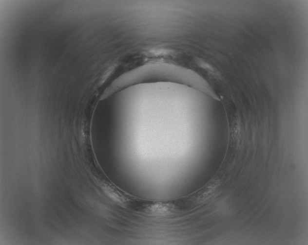 X0000054370566200508121543