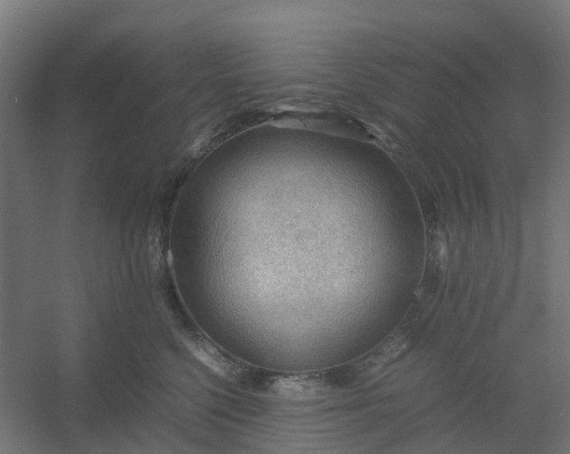 X0000054370568200508121543