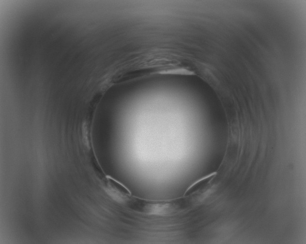 X0000054370575200508121543