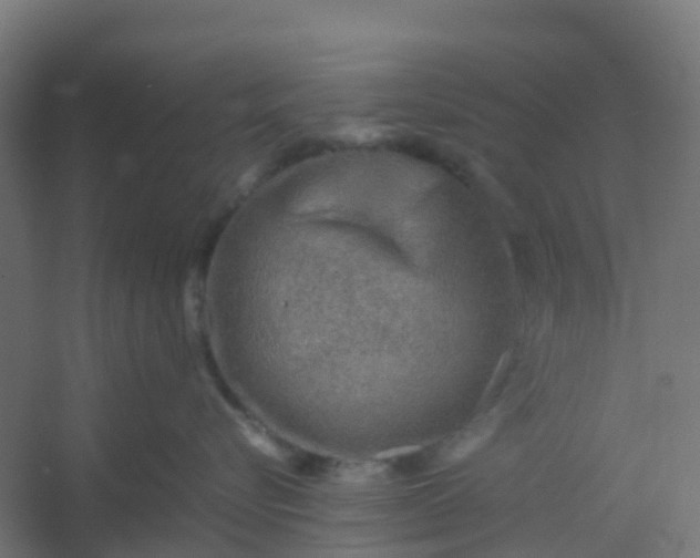 X0000054370576200508121543