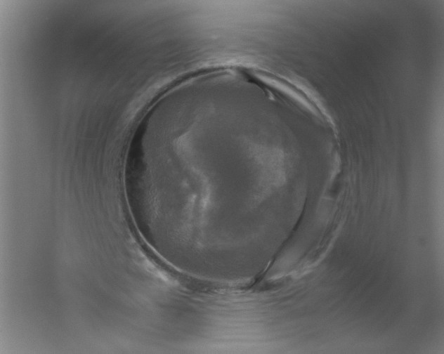 X0000054370577200508121542