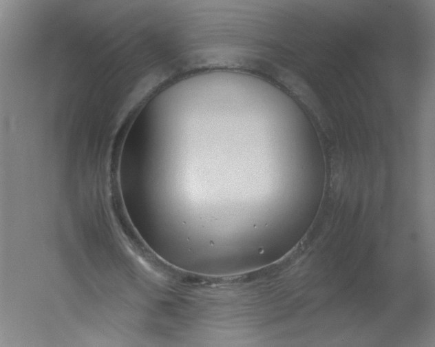 X0000054370578200508121542