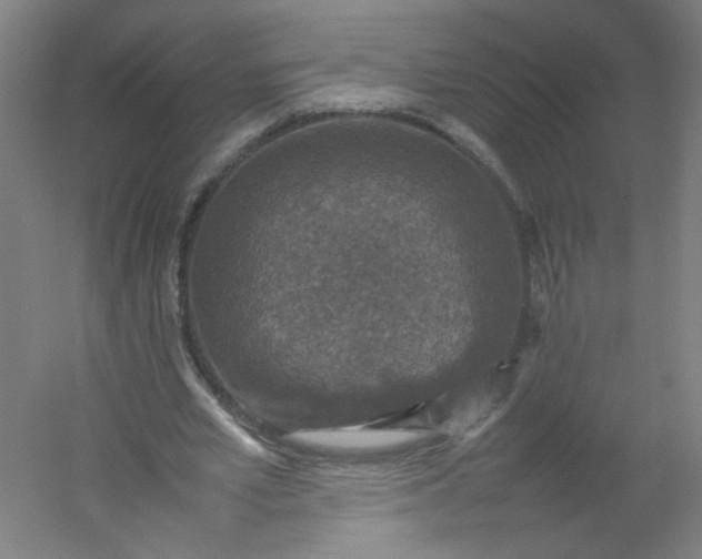 X0000054370581200508121542