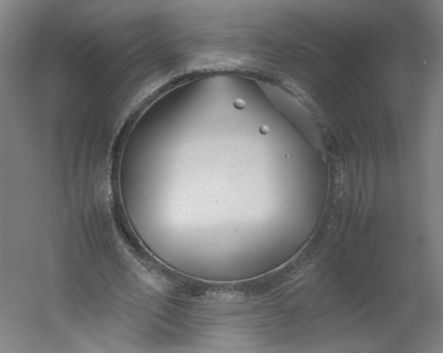 X0000054370582200508121542