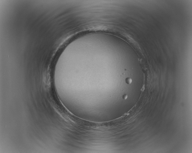 X0000054370584200508121542